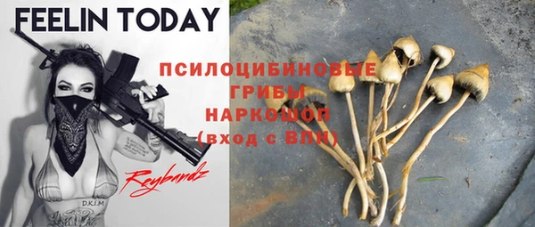 прущие крисы Алексеевка