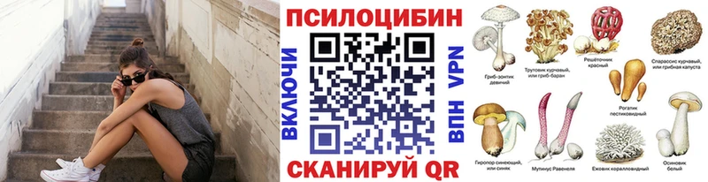 Купить закладки  Азнакаево  Псилоцибиновые грибы MAGIC MUSHROOMS 